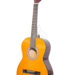 Онлайн-магазин музыкальных инструментов:  какую заказать гитару начинающим