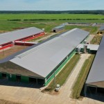 Бизнес-план молочного комплекса на 1200 коров
