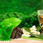 «Лекарство от ста болезней»,  или почему надо выбрать чай пуэр