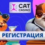Регистрация в Cat Casino